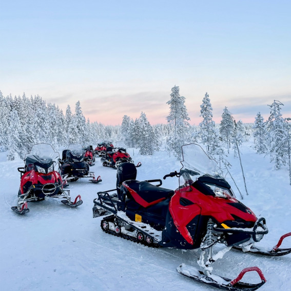 Ecosistema completo integrado para Venta Online