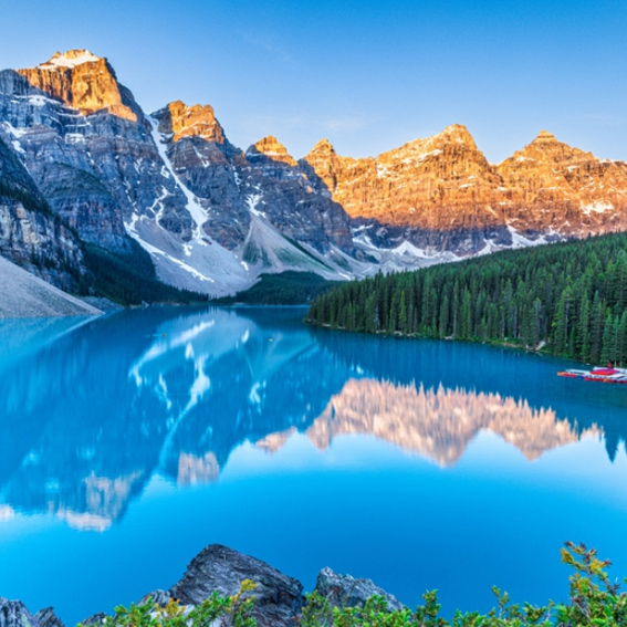 Ecosistema completo integrado para Venta Online