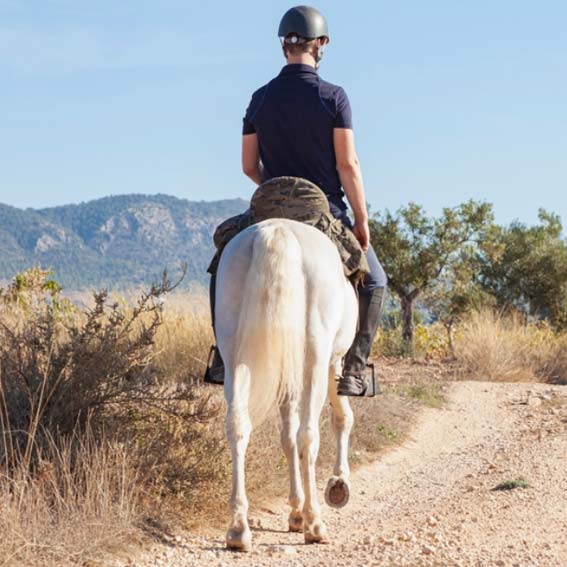 imagen nieve alturas ski y aventura